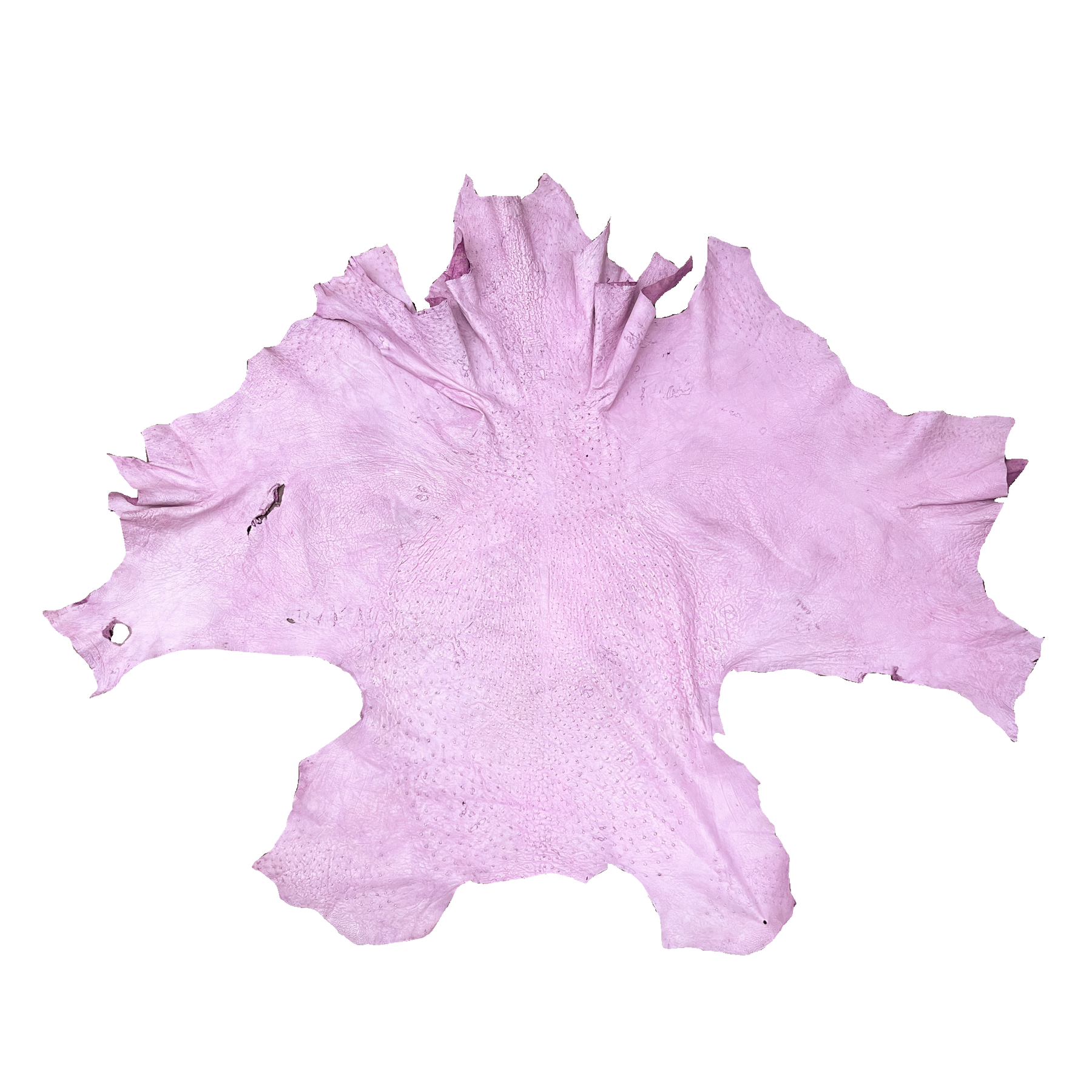 Ostrich Leather Hide | Distressed Pink | Grade 2