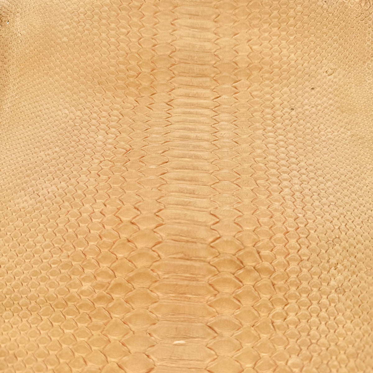 Premium dried peach Nubuck Python skin with a velvety matte finish and natural patterning.