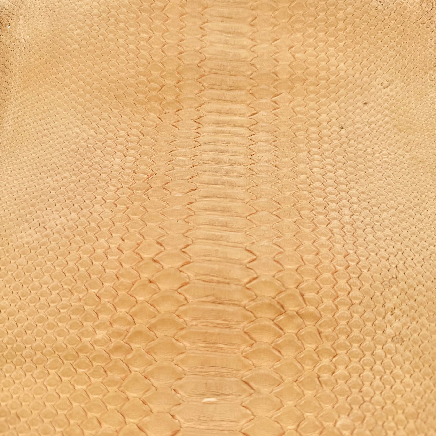Premium dried peach Nubuck Python skin with a velvety matte finish and natural patterning.