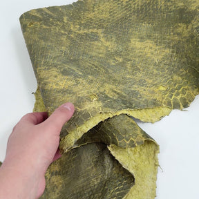 Yellow/Green Dimensional Python Front Cut Long Tail (Grade 2) Only 1 Available ZY8 | SALE