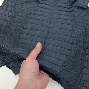 Vintage Blue Caiman Crocodile - Only 1 Available! | SALE