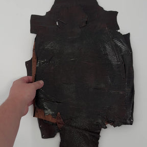 Glazed Dark Brown Lizard Skin Grade 2 | Bundle of 3 - B#1 | SALE