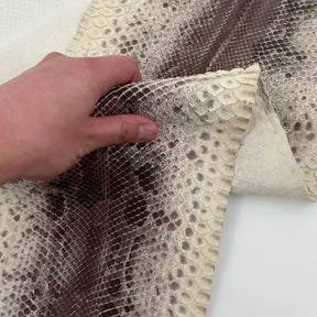 Natural Short Tail Python Cuts | Final Sale