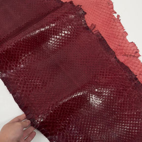 Glazed Red Extra Wide Python Cut | Sale