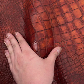 Wild American Alligator Hand Painted (Burnt Orange) | 38 cm