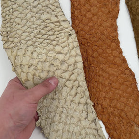 Bundle of 3 Multicolor Pirarucu Tails 5X | SALE
