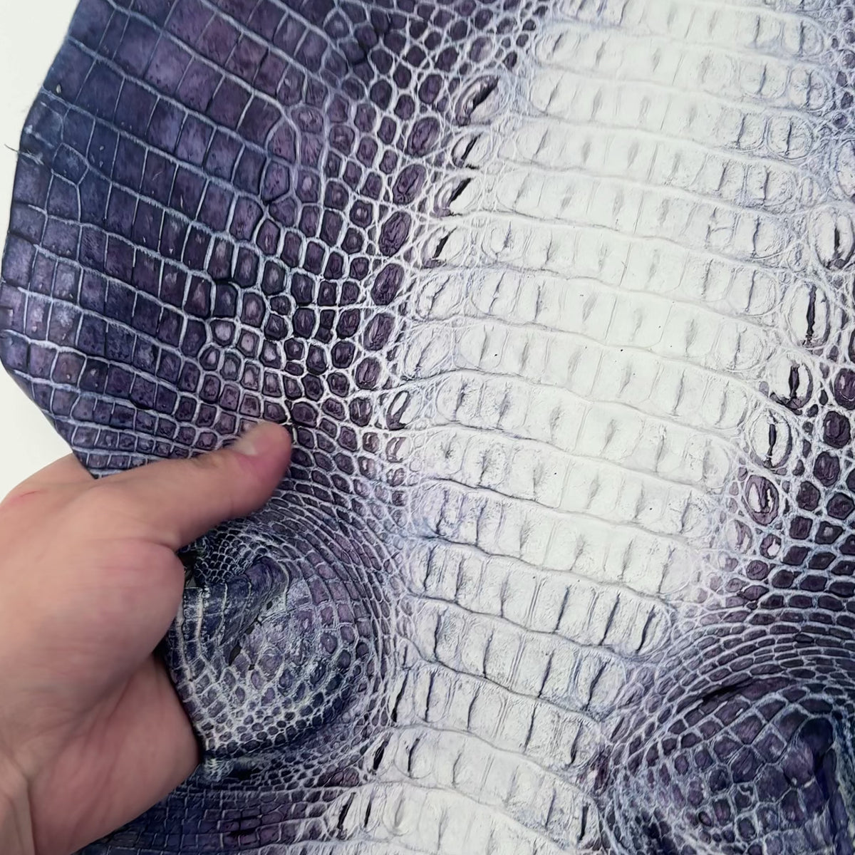Hornback Crocodile Dyed in New York City | Only 1 available!