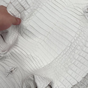 White Pigmented Caiman - Grade 2 & Grade 3 | Sale