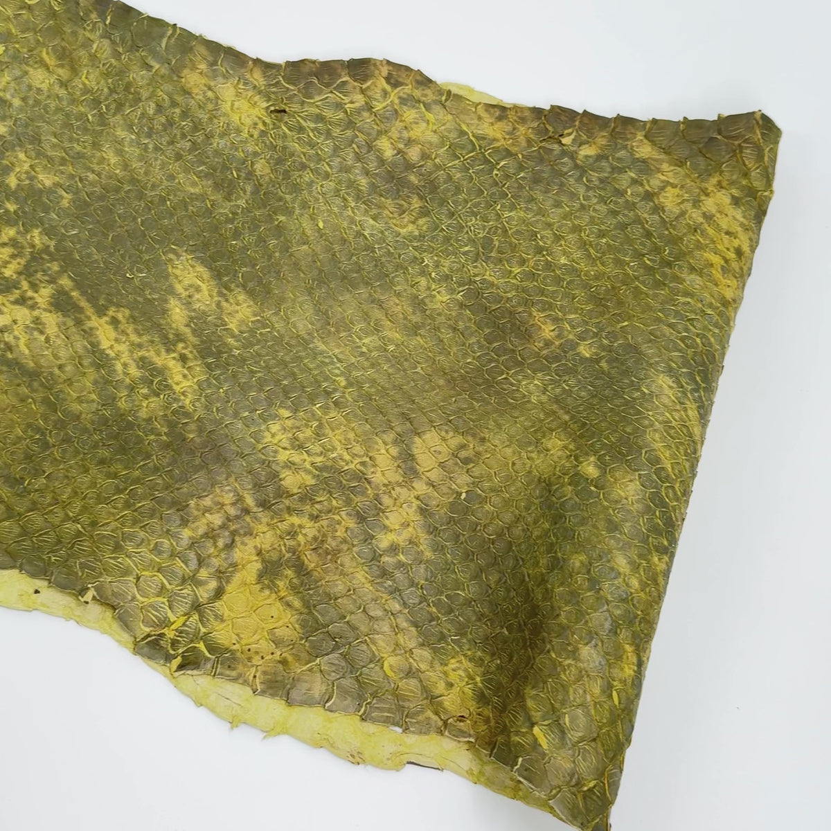 Yellow/Green Dimensional Python Front Cut Long Tail (Grade 2) Only 1 Available ZY9 | SALE