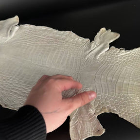 Metallic Hand Painted Nile Crocodile | Pearl | 22 cm