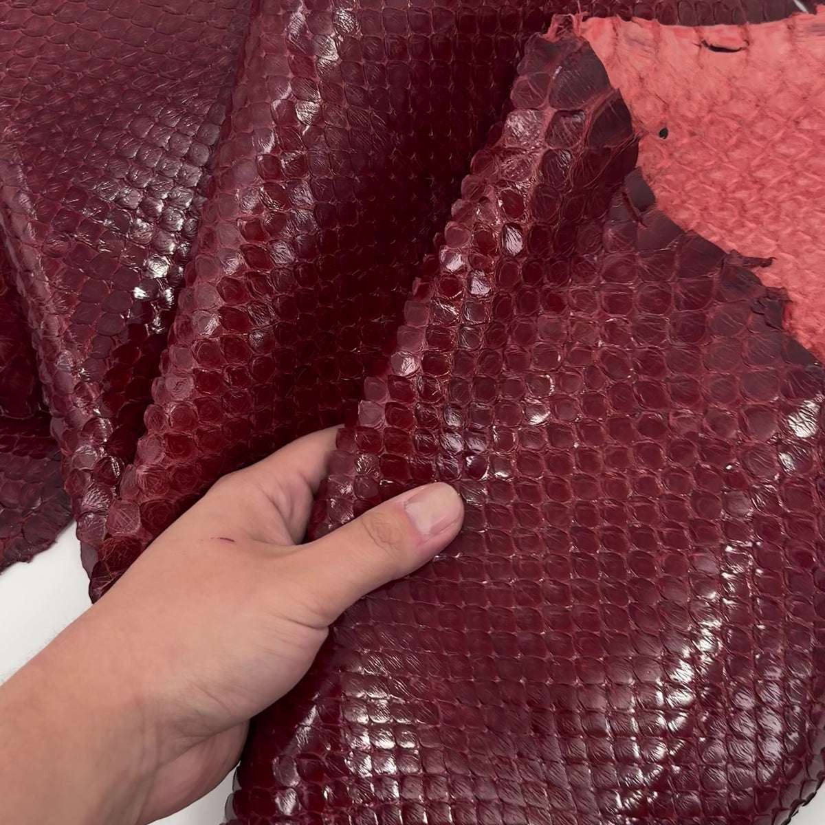 Glazed Red Extra Wide Python Cut | Sale