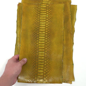 Bundle of 4 Python Cut Pieces | Only 1 Available | SALE