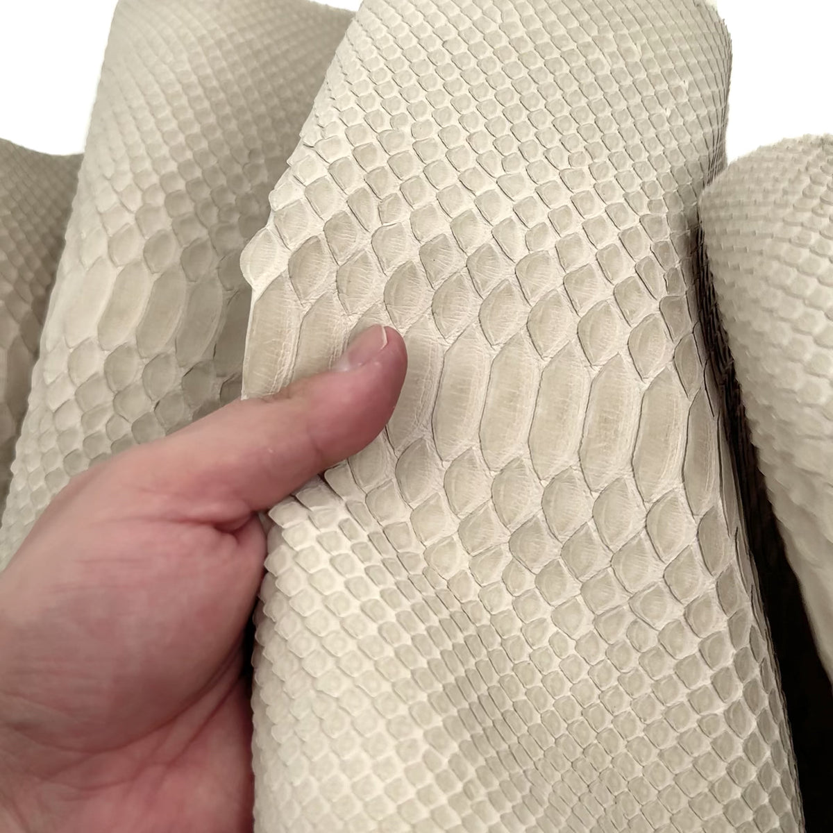 Matte Sandy Python - Only 1 Available | Final Sale
