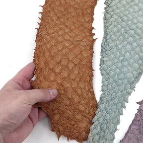 Bundle of 3 Multicolor Pirarucu Tails 10A | SALE