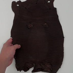Brown Lizard Skin | Bundle of 2 - B#2 | SALE