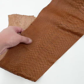 Cognac Short Tail Python Cut | Sale