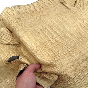 Beige Toast Caiman Crocodile - Only 1 Available! | SALE
