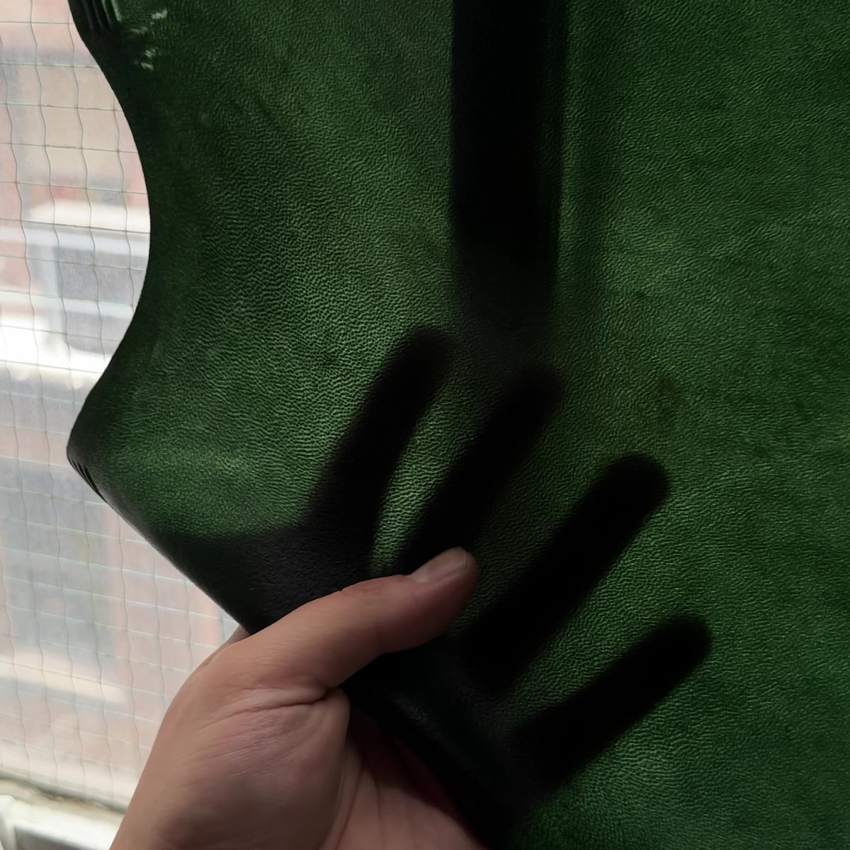 Transparent Lamb Leather