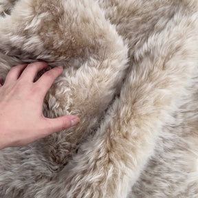 Two-Tone Icelandic Curly Shearling with Leather Backing