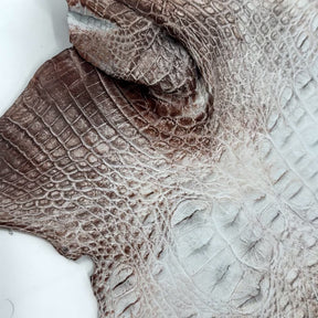 Hornback Crocodile Dyed in New York City | Only 1 available!