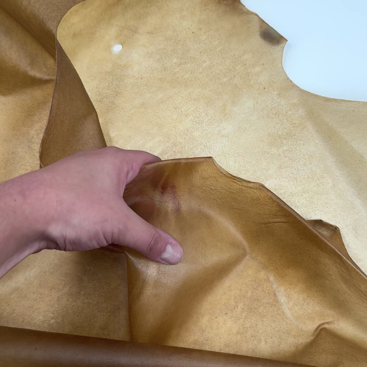 Transparent Horse Leather | Ships June 15