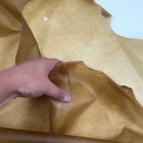 Transparent Horse Leather