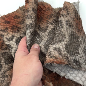 Mutlicolor Python Cut #2A - Only 1 Available! | SALE