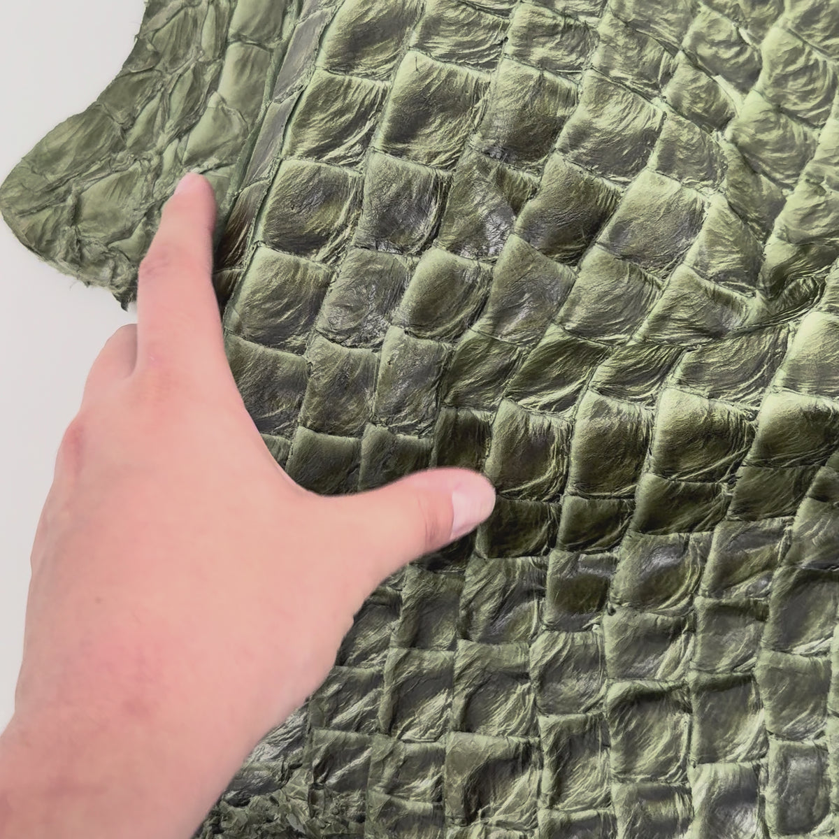 Pirarucu Semi-Shiny Sage Green | Only 3 skins left!
