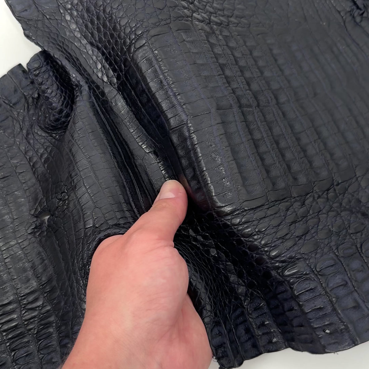Midnight Navy Caiman Crocodile - Only 1 Available! | SALE