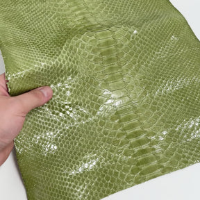 Apple Glazed Python Cut Back Cut - Only 1 Available | SALE