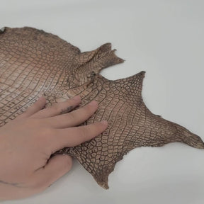 Hand Painted Nile Crocodile | Cuir | 24 cm