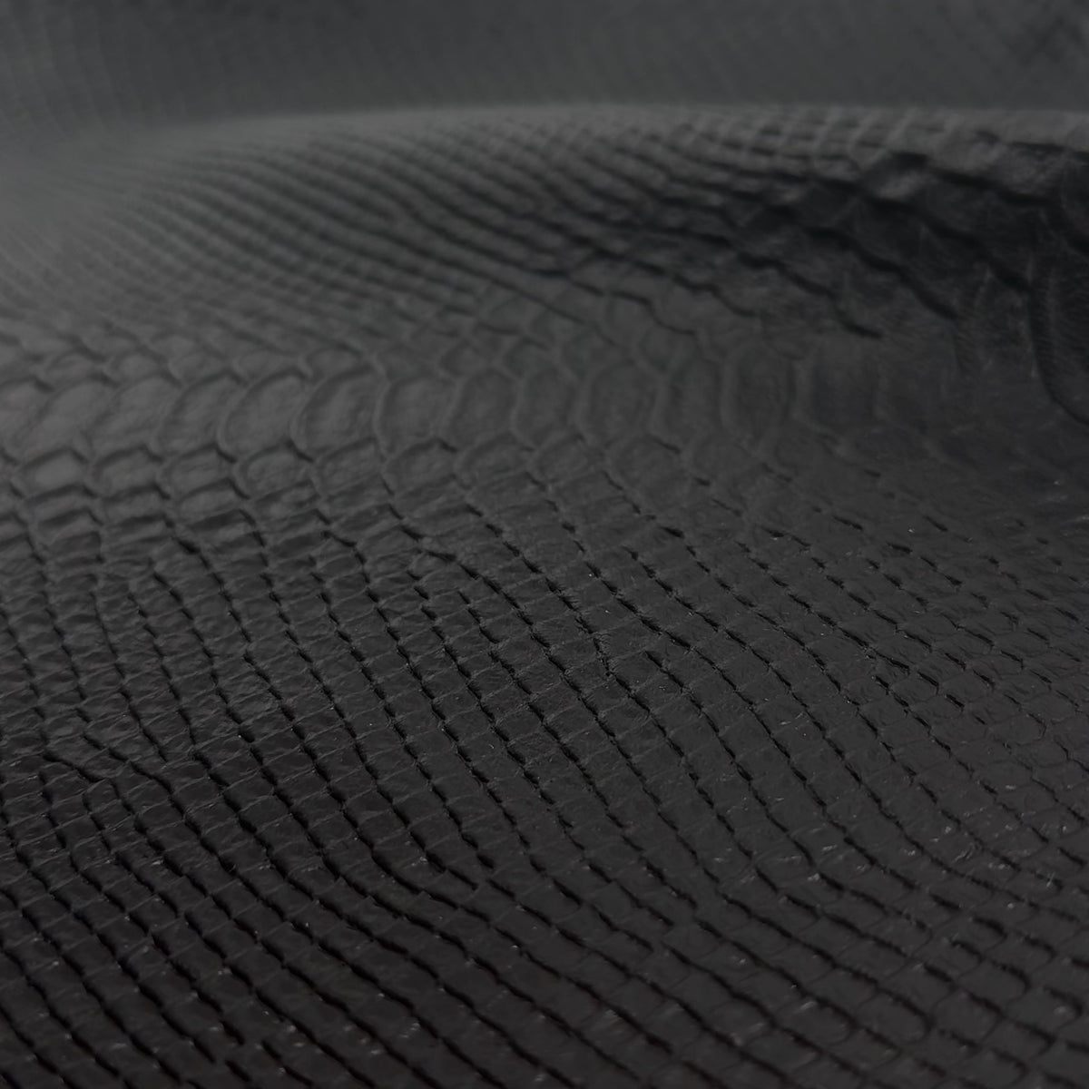Acetone Rub-Off Python Embossed Lamb