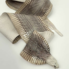 Head-On Cobra Skin