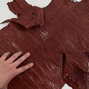 Floridian Wild Alligator (Millenium Finish)