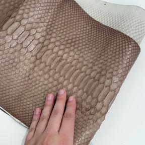 Taupe Python Cut - Only 1 Available | SALE