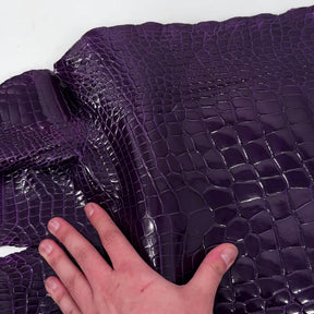 Glazed Wild American Alligator in Purple | 38 cm