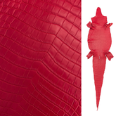 Red Italian-Made Crocodile | 39 cm