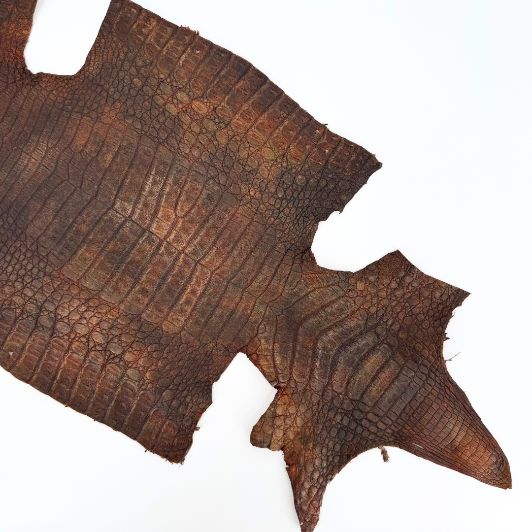Caiman Crocodile | Rust Veil | Full Skin
