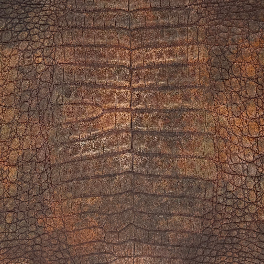 Caiman Crocodile | Rust Veil | Full Skin