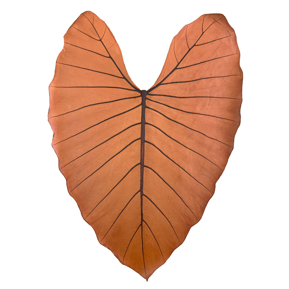 Leaf Leather | Sierra