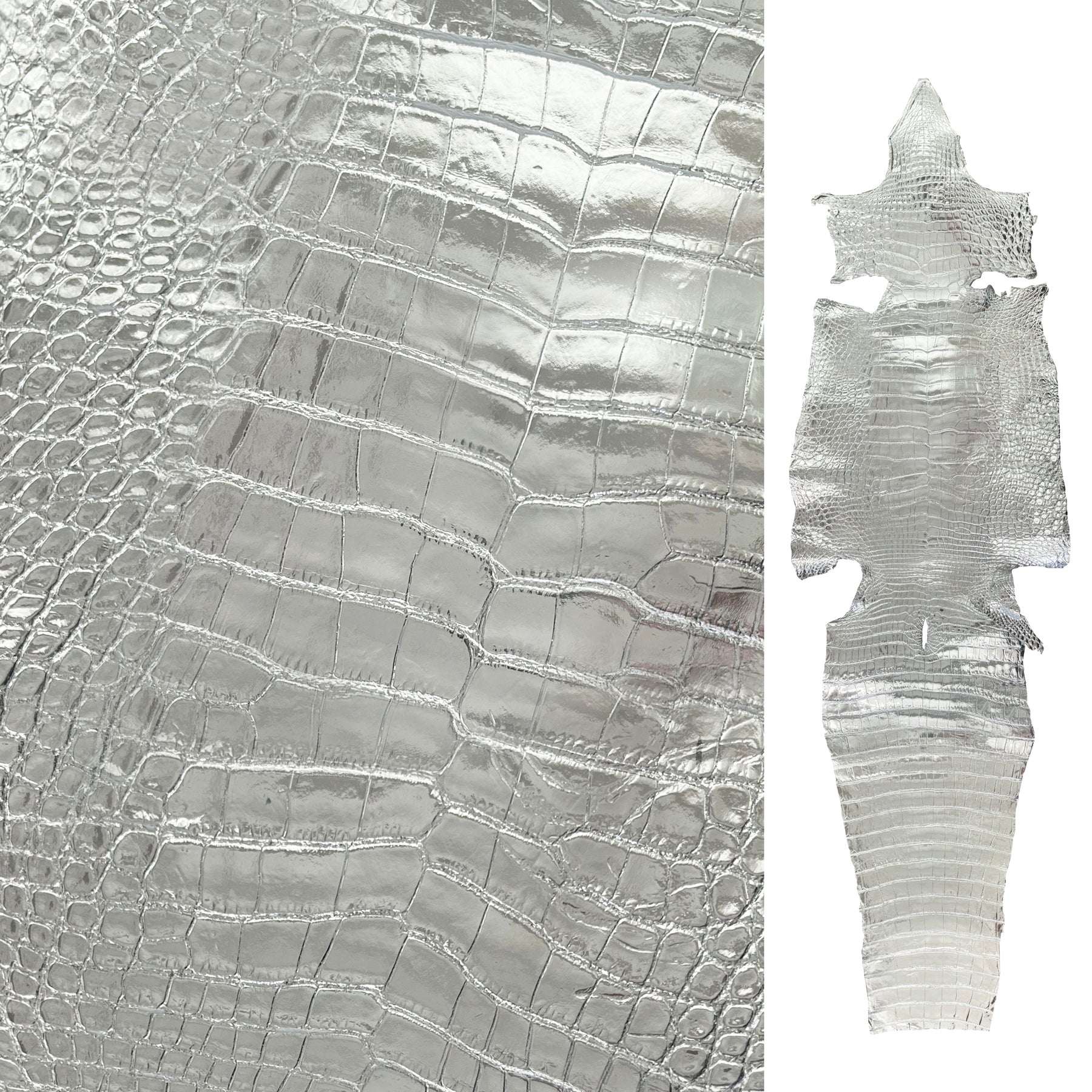 American Alligator Silver Glazed | 38 cm