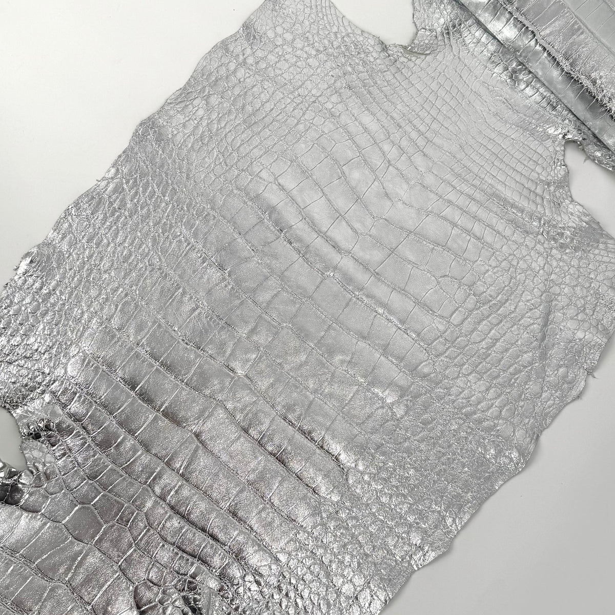 Wild American Alligator Metallic Silver Foil 50 cm