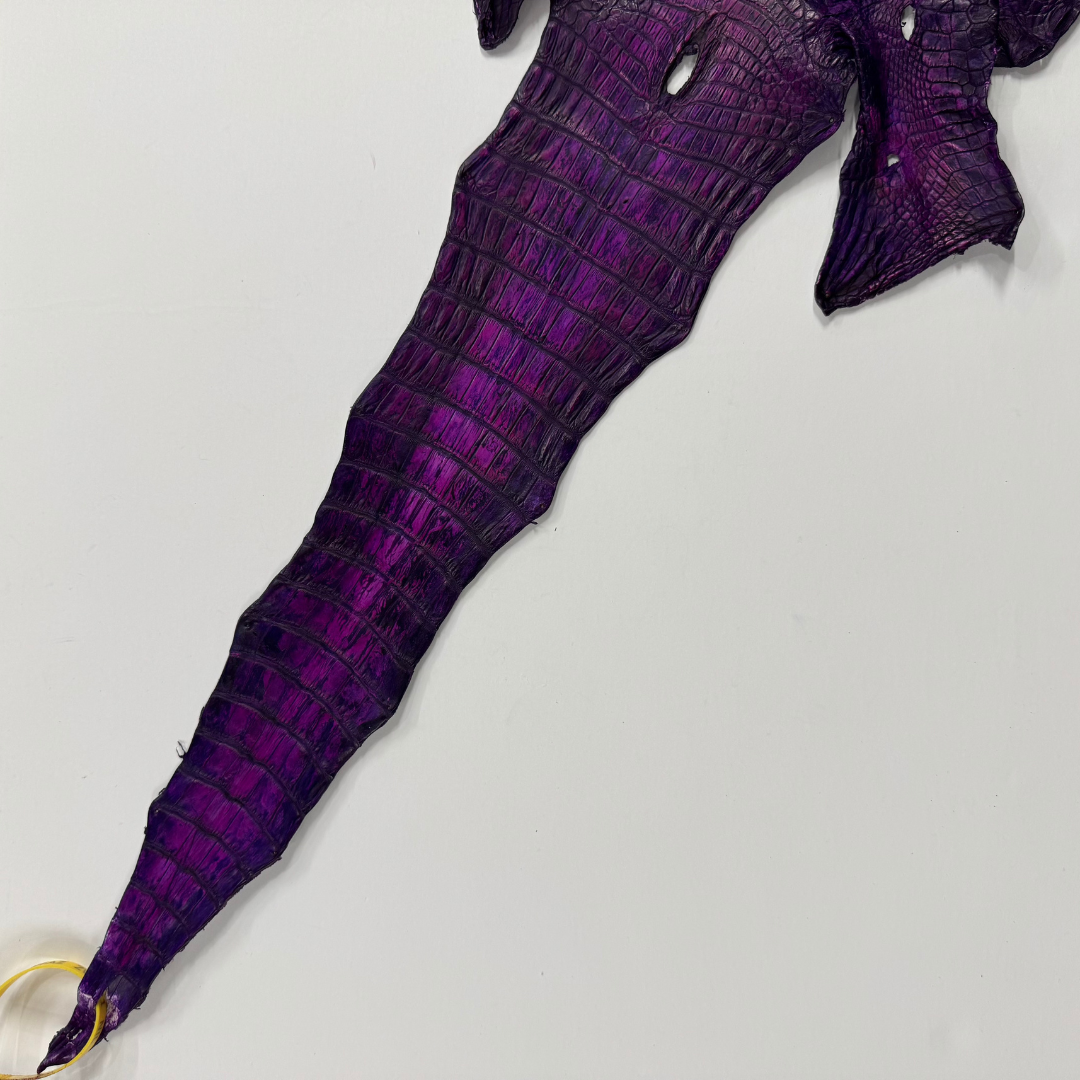 Hand Painted Nile Crocodile | Violet x Fuxia | 23 cm
