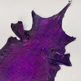 Hand Painted Nile Crocodile | Violet x Fuxia | 23 cm
