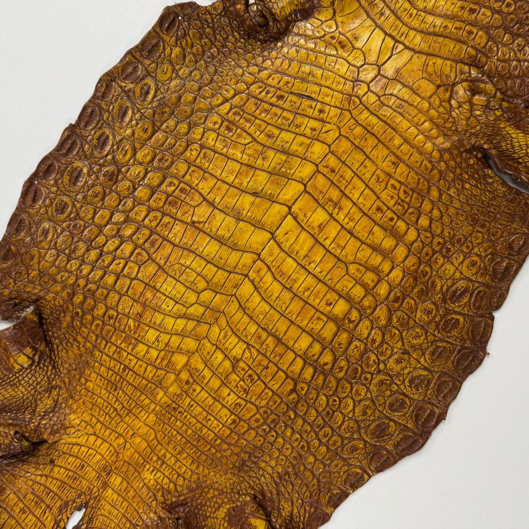 Hand Painted Nile Crocodile | Yellow Brown | 24 cm