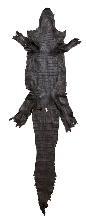 American Alligator Genuine Leather Hide (GRADE 1) Black