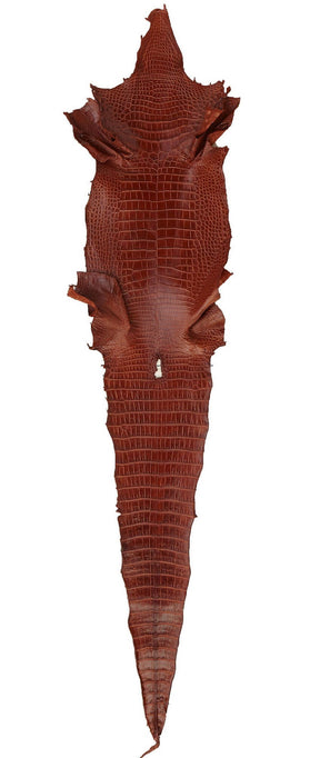 American Alligator Genuine Leather Hide (GRADE 1) Cognac
