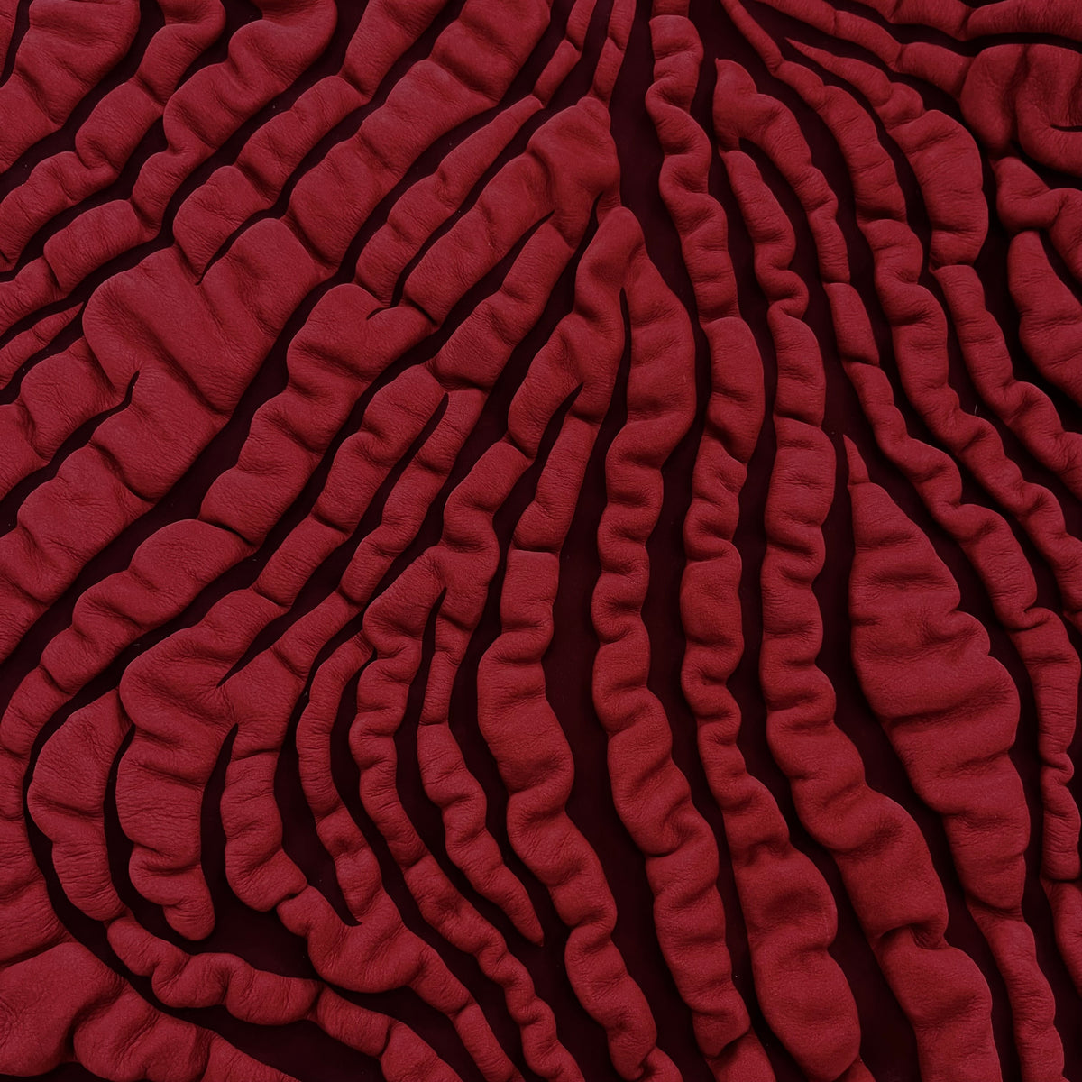 Zebra Squash Cow Hide