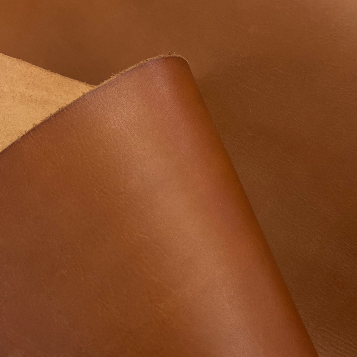 Aurora Vegetable Tanned Cow Shoulder