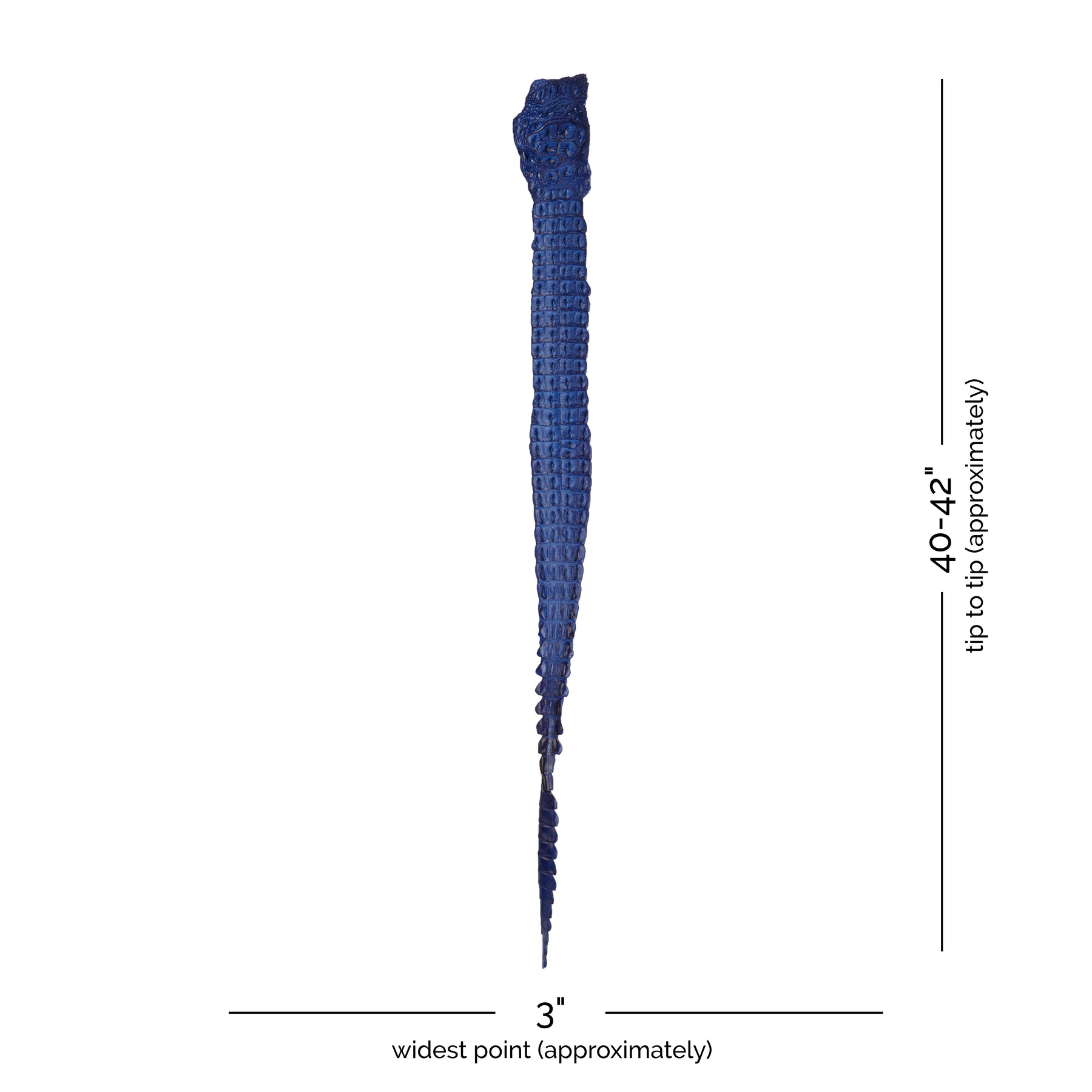Crocodile Back Strap Leather (40-42" x 3") | Blue